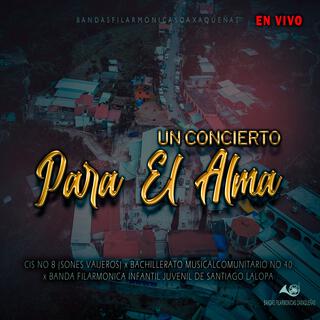 Un Concierto Para El Alma