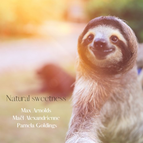 Sweet sloth ft. Max Arnolds & Pamela Goldings | Boomplay Music