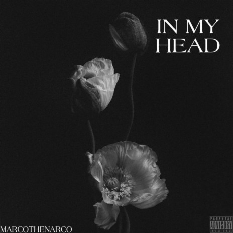 In My Head | Boomplay Music