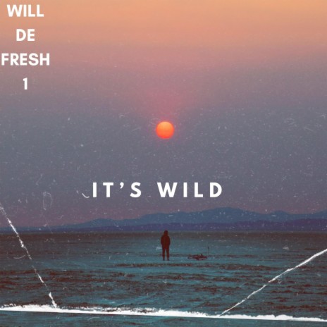 It's Wild | Boomplay Music