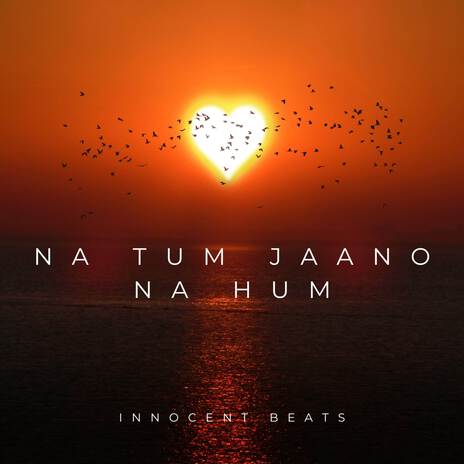 Na Tum Jaano Na Hum | Boomplay Music