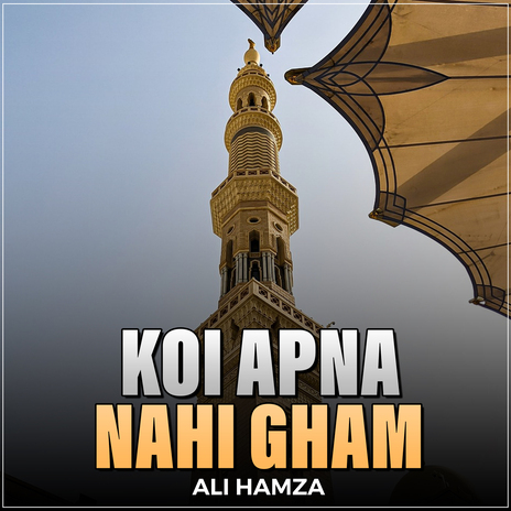 Koi Apna Nahi Gham | Boomplay Music