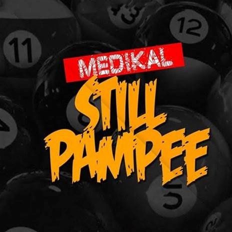 Still Pampee | Boomplay Music