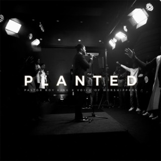 Planted lyrics | Boomplay Music
