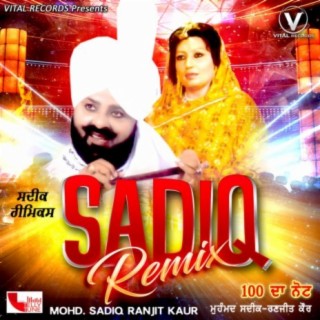 Sadiq Remix