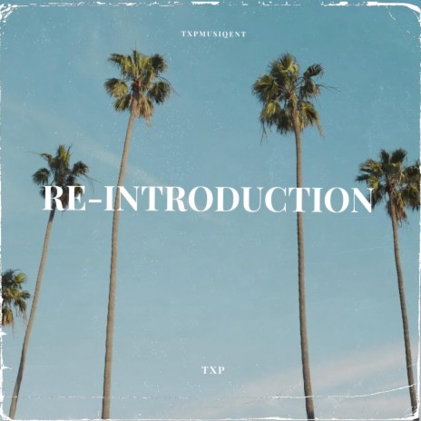 Re-Introduction | Boomplay Music
