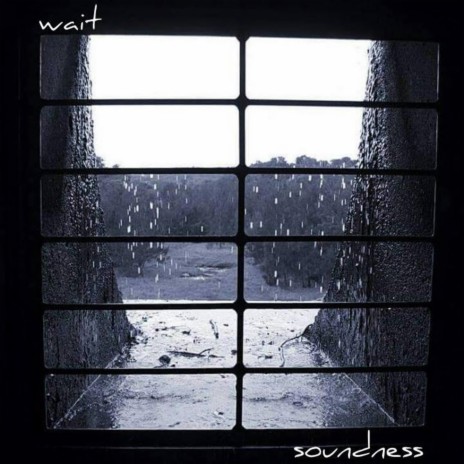 Soundness | Boomplay Music