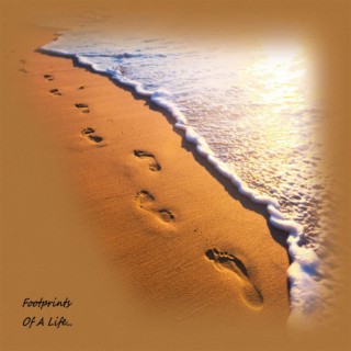 Footprints Of A Life