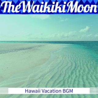 Hawaii Vacation Bgm