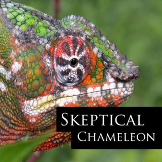 Chameleon