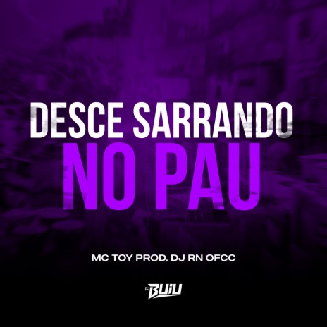 Desce Sarrando no Pau ft. DJ RN OFCC | Boomplay Music