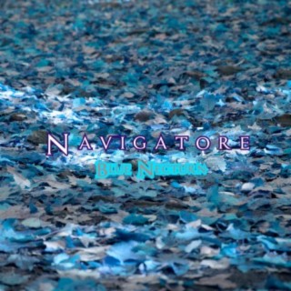 Navigatore