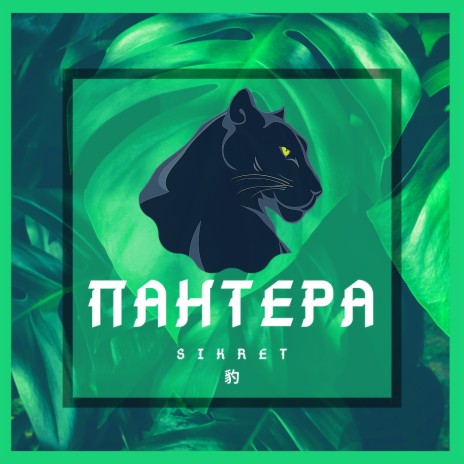 Пантера | Boomplay Music