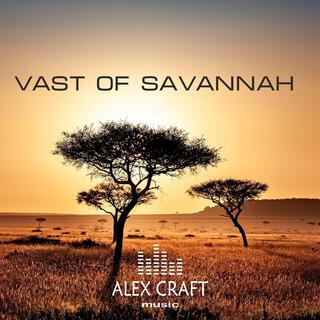 Vast Of Savannah