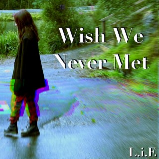 Wish We Never Met lyrics | Boomplay Music