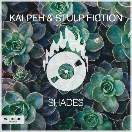 Shades ((Original Mix)) ft. Stulp Fiction | Boomplay Music