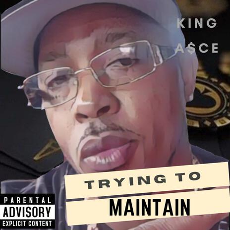 Trying to Maintain | Boomplay Music