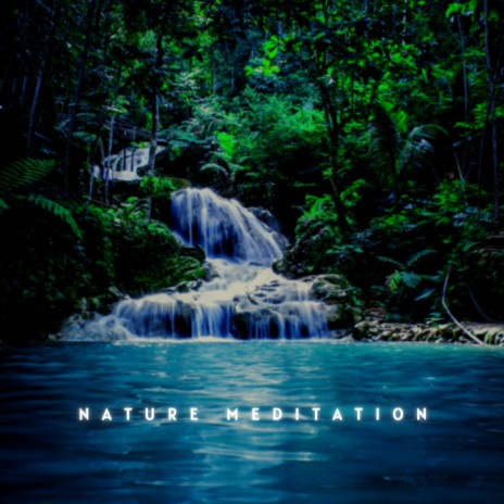Relaxing Meditation (Wilderness) 432 Hz