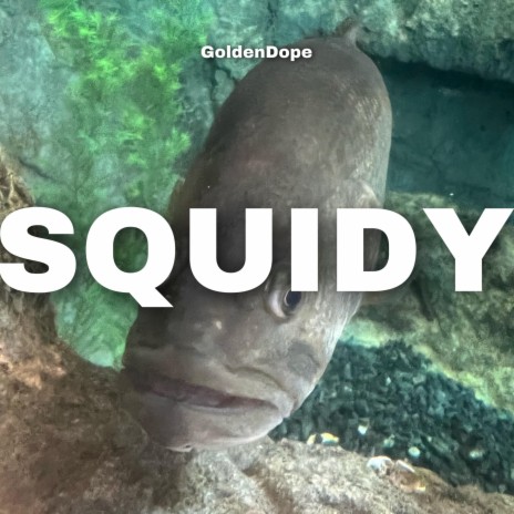 Squidy | Boomplay Music