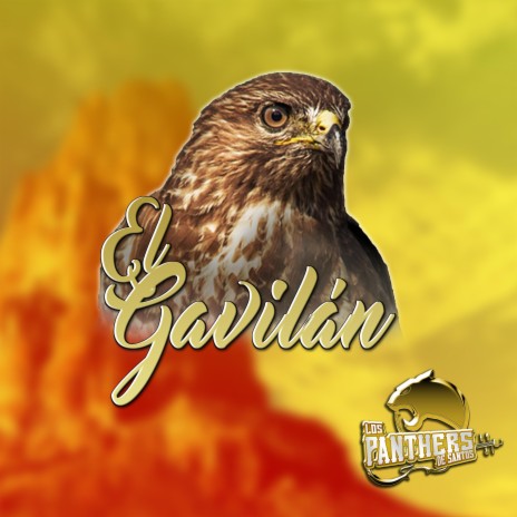 El gavilan | Boomplay Music