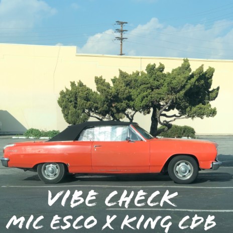 Vibe Check ft. King CDB | Boomplay Music