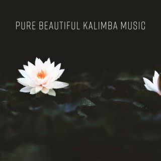 Pure Beautiful Kalimba Music