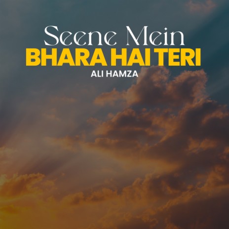 Seene Mein Bhara Hai Teri | Boomplay Music