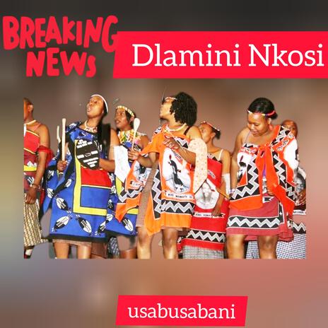 Dlamini Nkosi | Boomplay Music