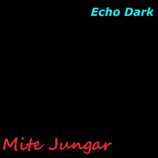 Echo Dark