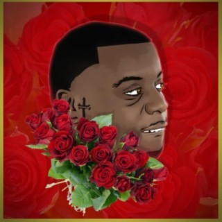 Benzel's Roses