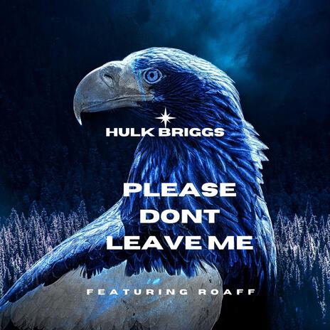 Please dont leave me ft. ROAFF