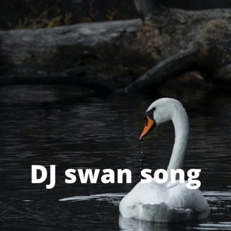 Dj Swan Song | Boomplay Music