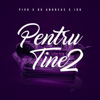 pntru tine 2