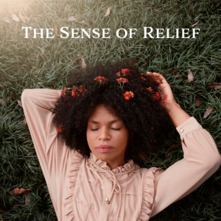 The Sense of Relief: Music for Mindful Meditation for Serenity and Tranquil Time, Wonderful Feeling of Calmness