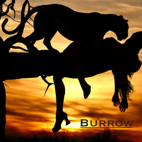 Burrow | Boomplay Music