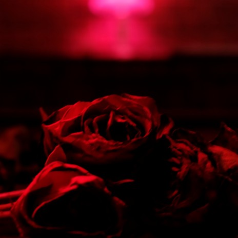 Without Your Love ft. Julia Stone