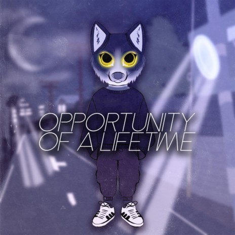 Opportunity of a Lifetime | Boomplay Music