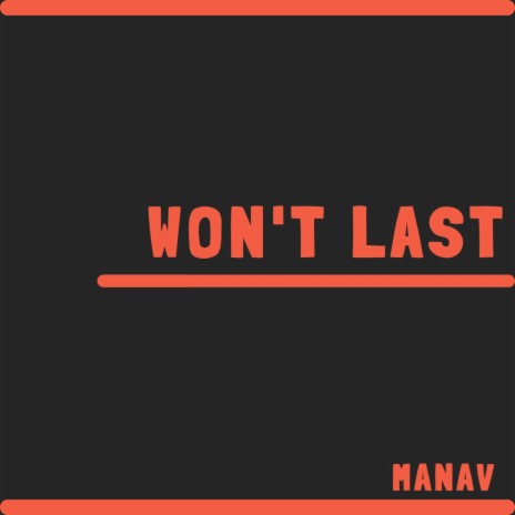 Won't Last | Boomplay Music