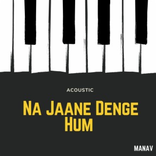 NA JAANE DENGE HUM (ACOUSTIC) lyrics | Boomplay Music