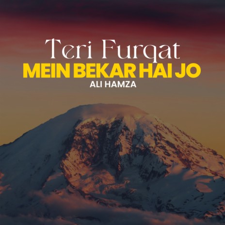 Teri Furqat Mein Bekar Hai Jo | Boomplay Music