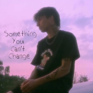 Something You Can't Change ft. Mallow V lyrics | Boomplay Music
