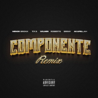 Componente (Remix)