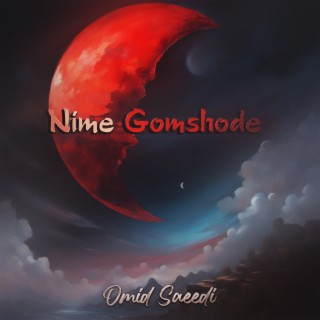 Nime Gomshode (A lost half)