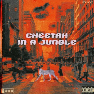 Cheetah In a Jungle lyrics | Boomplay Music