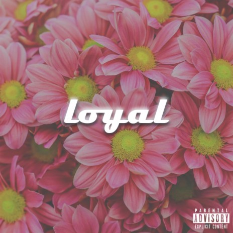 LOYAL | Boomplay Music