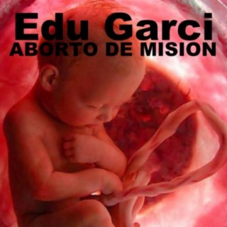 Aborto de mision