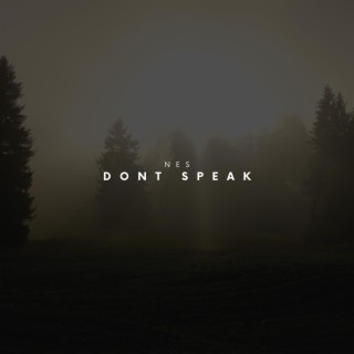 Don't Speak lyrics | Boomplay Music