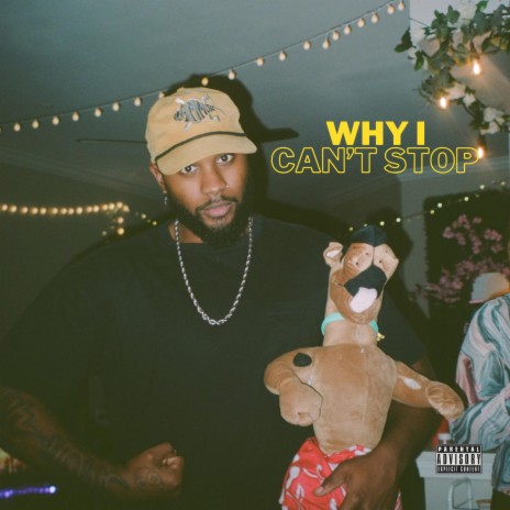 Why I Can't Stop | Boomplay Music