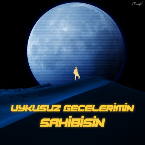 Uykusuz Gecelerimin Sahibisin | Boomplay Music