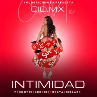 INTIMIDAD (Brayan Vr Remix)